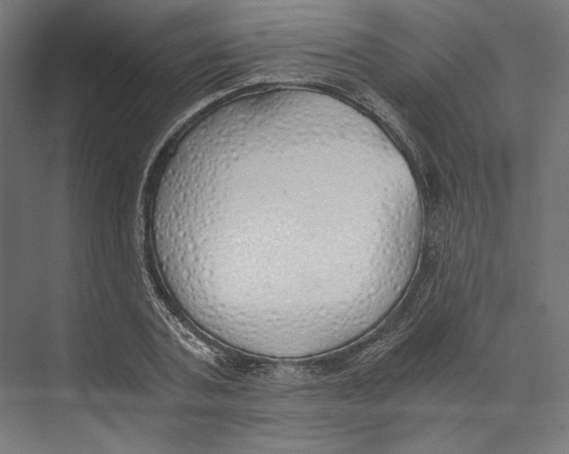 X0000073840787200609071540