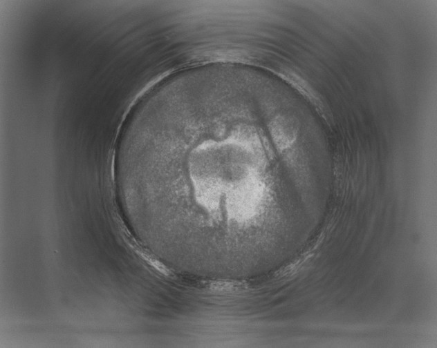 X0000073840790200609071540