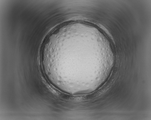 X0000073840791200609071540