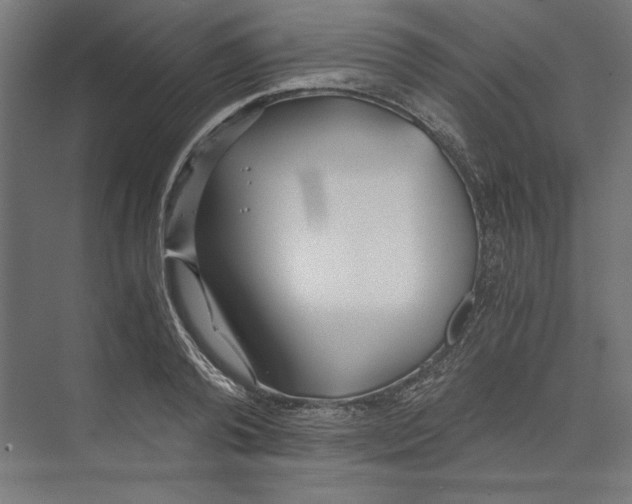 X0000073840792200609071540