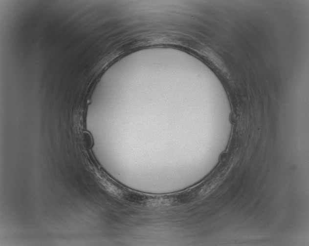 X0000073840793200609071540