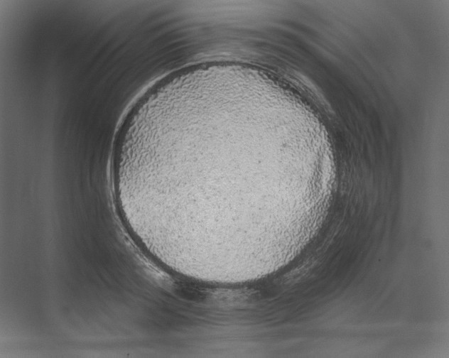 X0000073840796200609071539