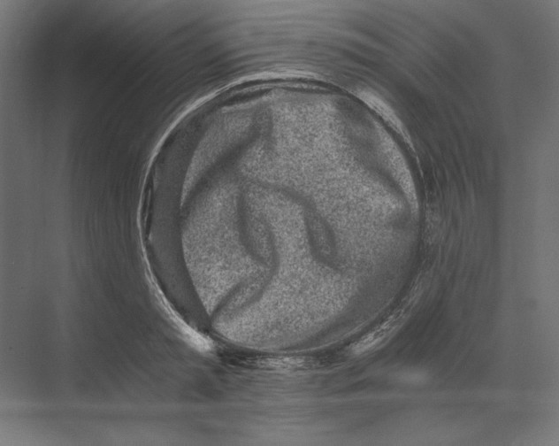 X0000073840797200609071539