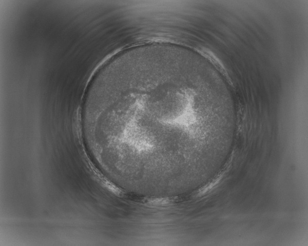 X0000073840798200609071539