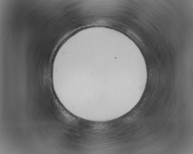 X0000073840800200609071539