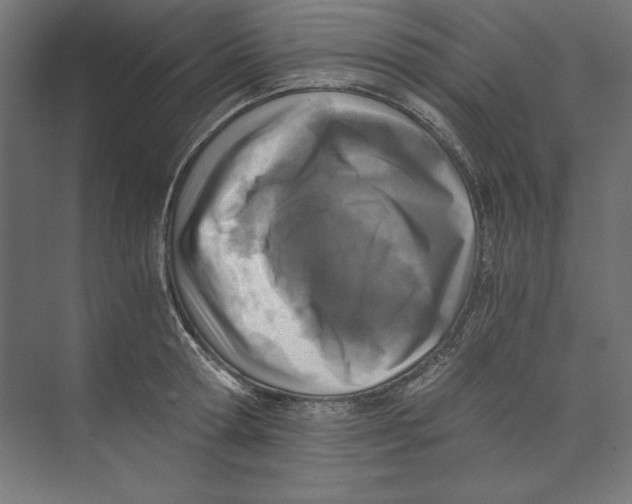 X0000073840802200609071539