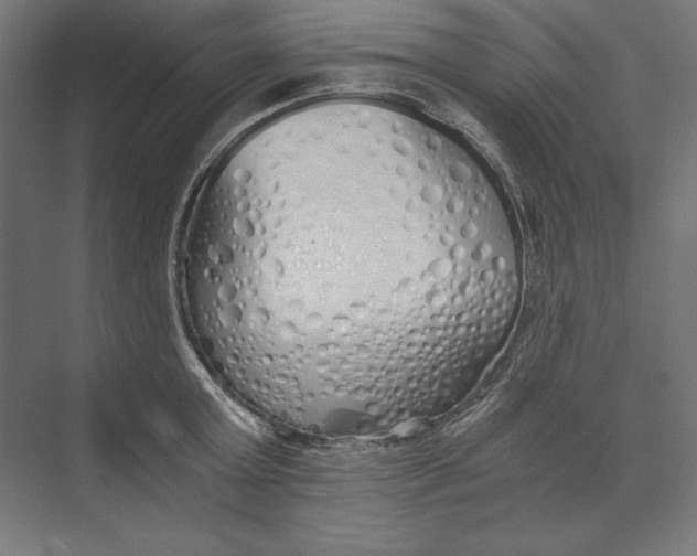 X0000073840803200609071539