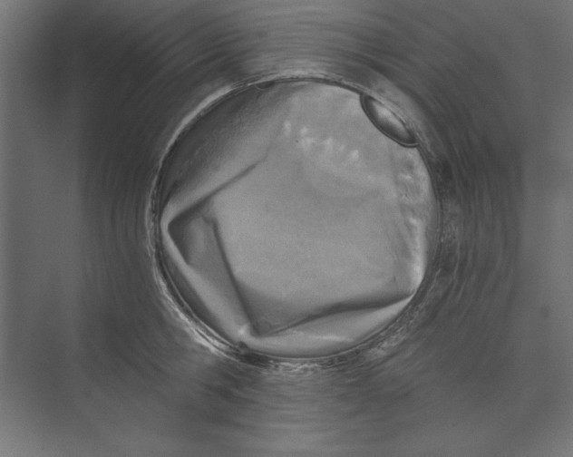 X0000073840806200609071539