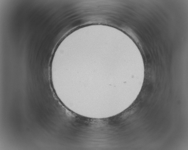 X0000073840807200609071539