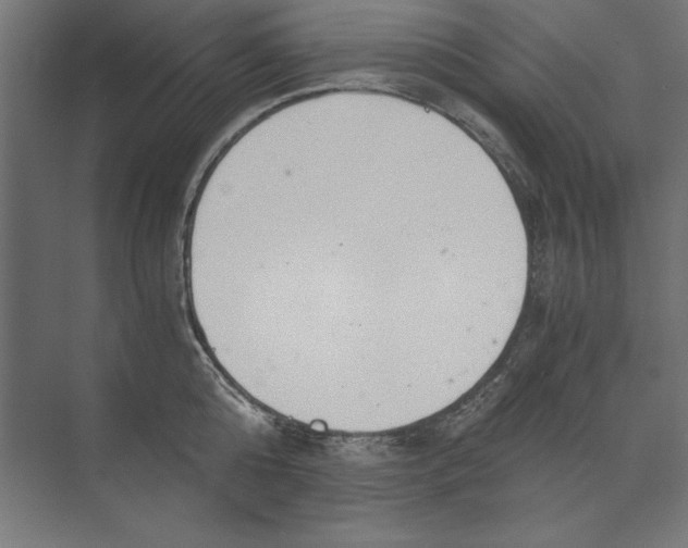 X0000073840808200609071539