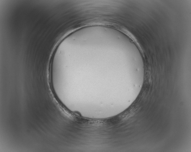 X0000073840811200609071539