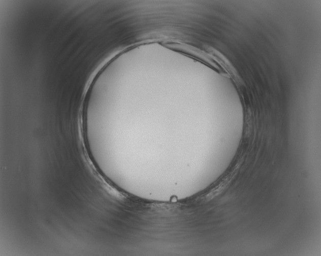 X0000073840812200609071539