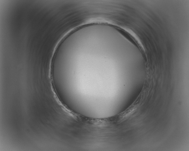 X0000073840815200609071539