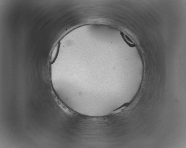 X0000073840816200609071539