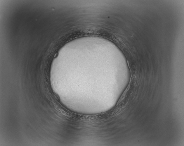 X0000073840817200609071538