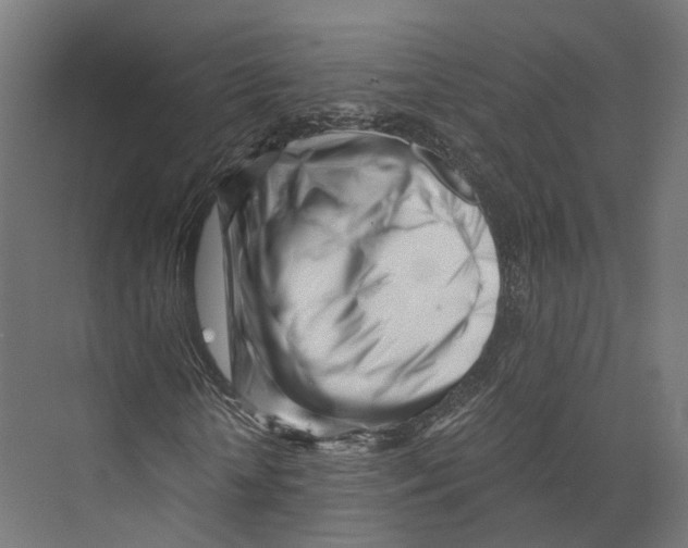 X0000073840818200609071538