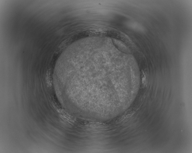 X0000073840819200609071538