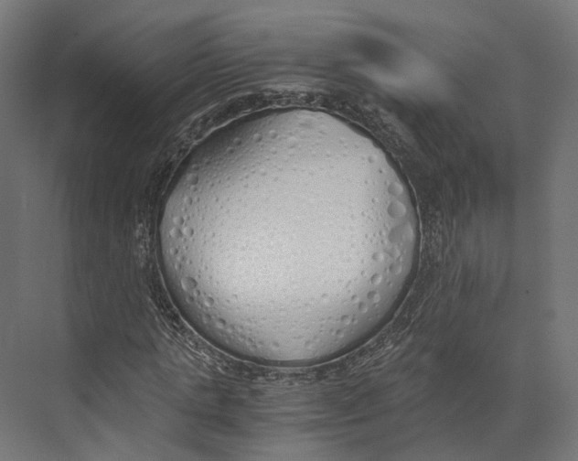 X0000073840821200609071538