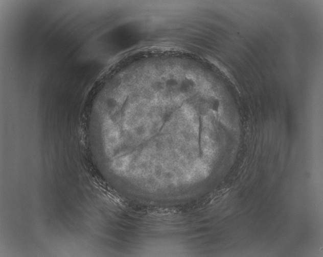 X0000073840823200609071538