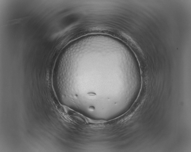 X0000073840825200609071538