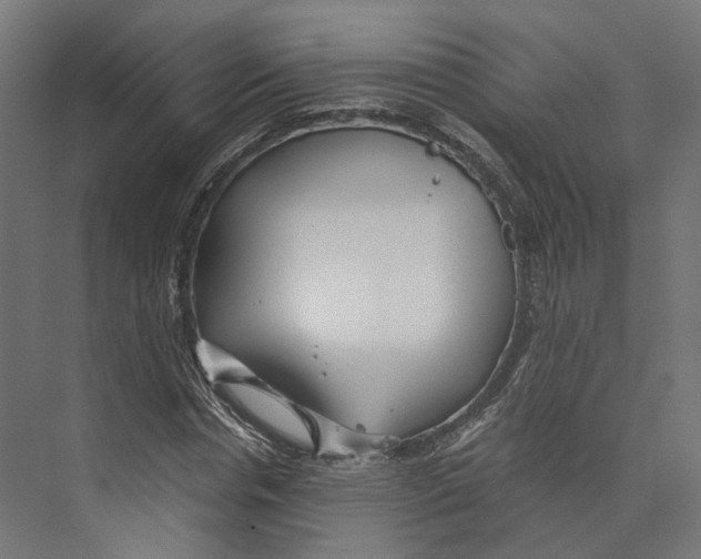 X0000073840826200609071538