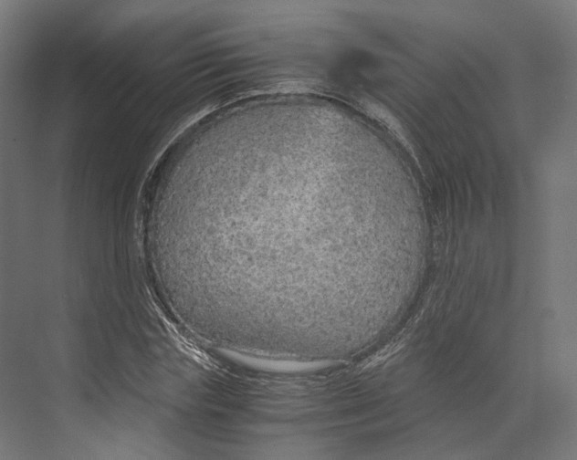 X0000073840827200609071538