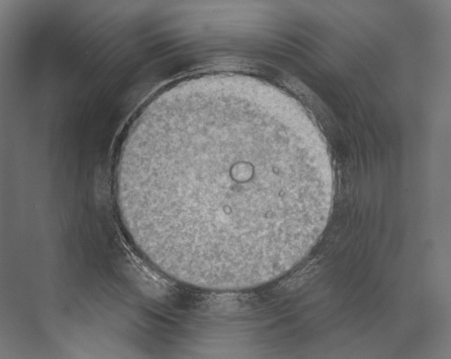 X0000073840828200609071539