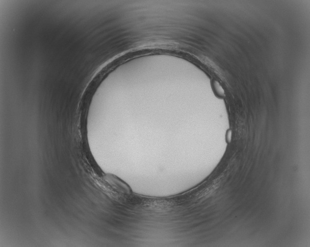 X0000073840830200609071539