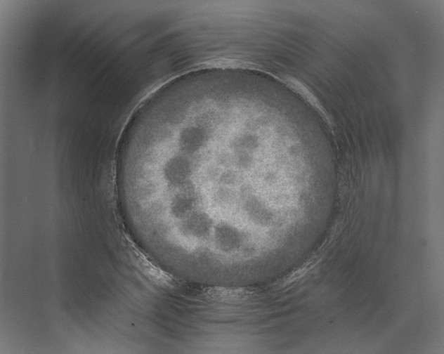 X0000073840831200609071539