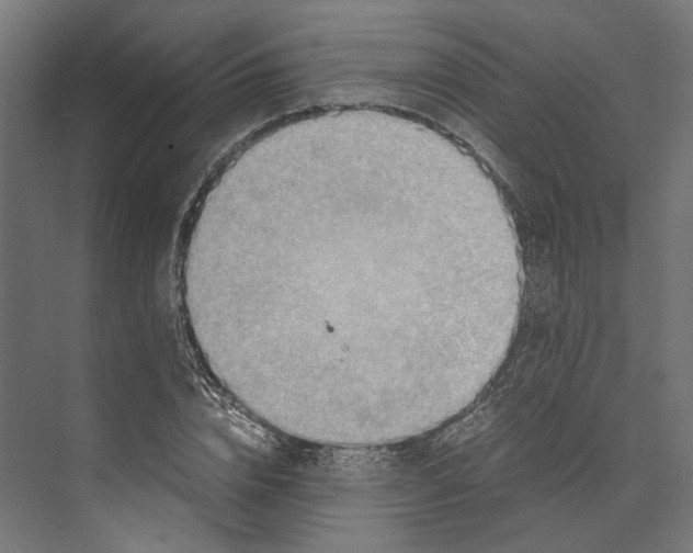 X0000073840832200609071539