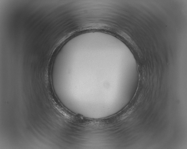 X0000073840834200609071539