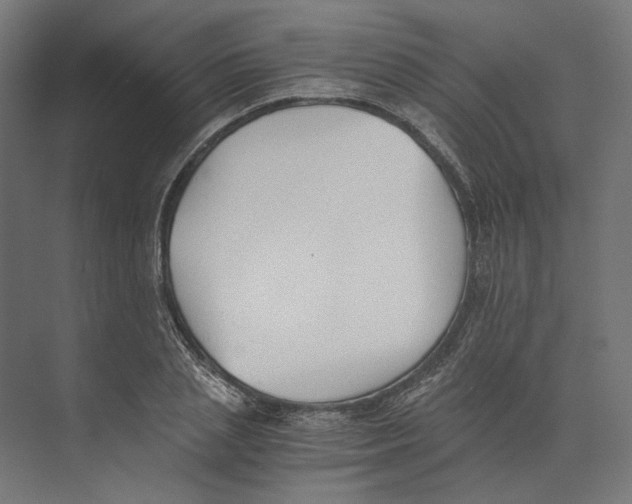 X0000073840837200609071539