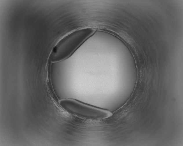 X0000073840838200609071539