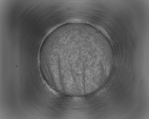 X0000073840839200609071539