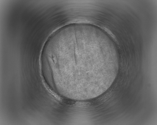 X0000073840840200609071539