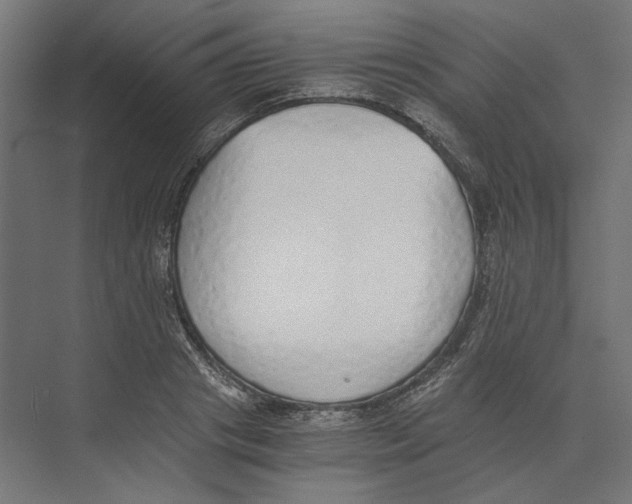 X0000073840841200609071539