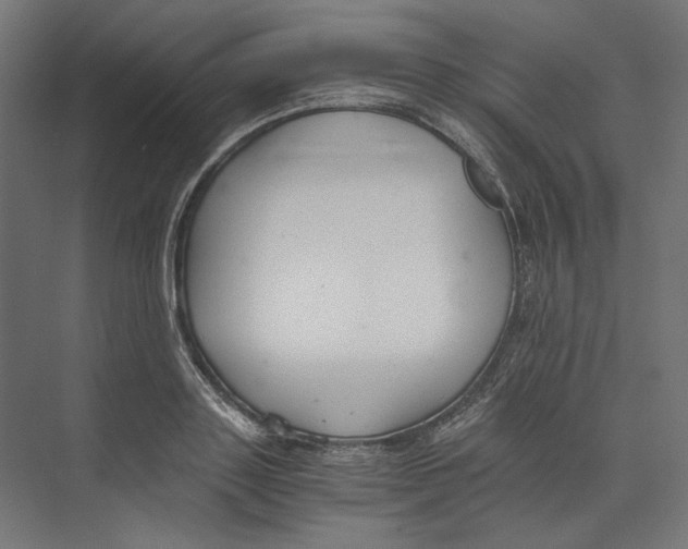 X0000073840843200609071539