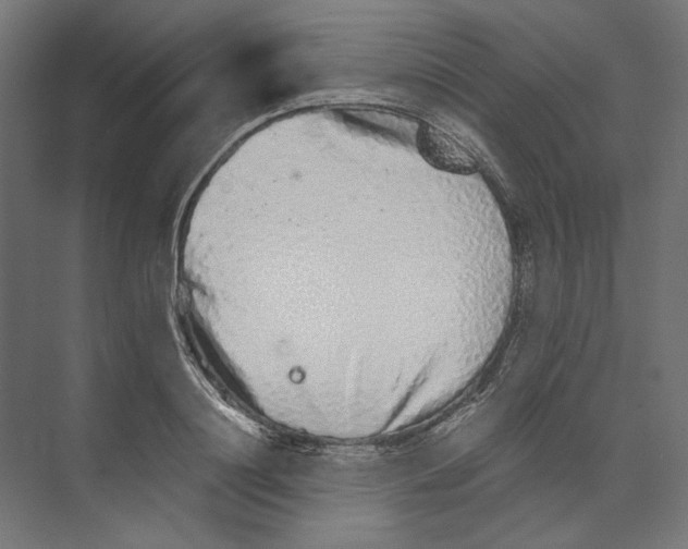 X0000073840844200609071539