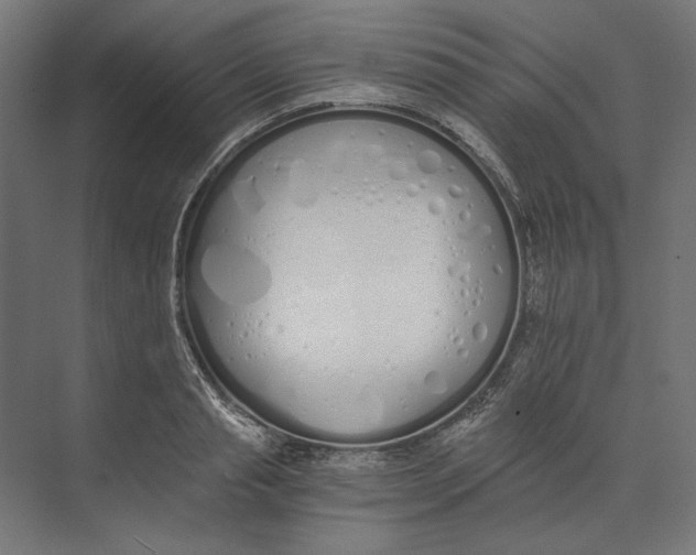 X0000073840845200609071539