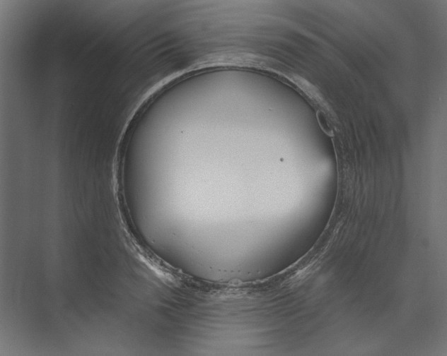 X0000073840846200609071539