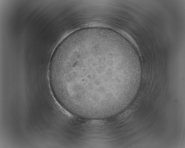 X0000073840847200609071539