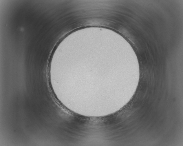 X0000073840848200609071539