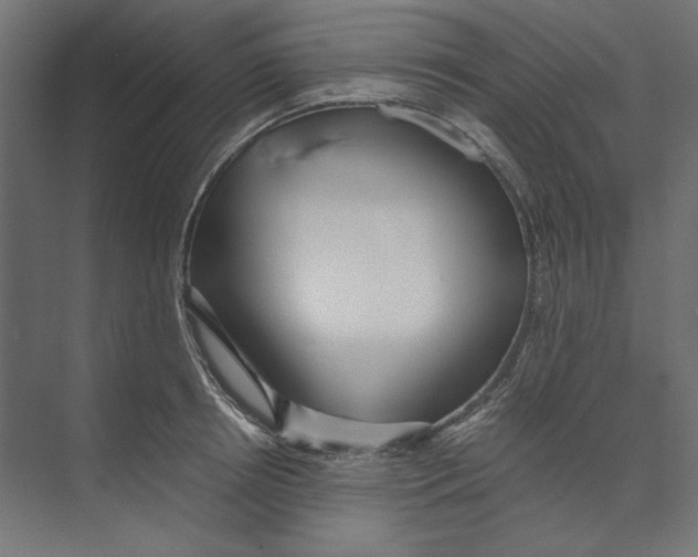 X0000073840850200609071539