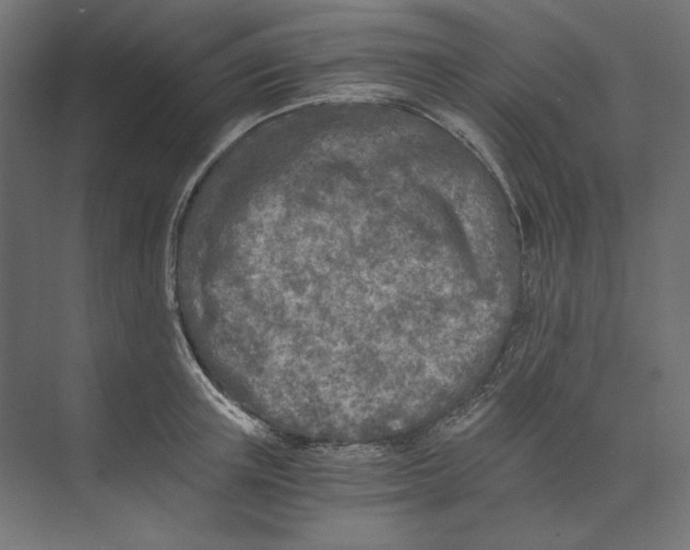 X0000073840851200609071539