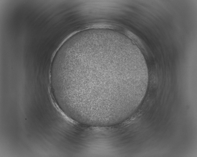 X0000073840852200609071539