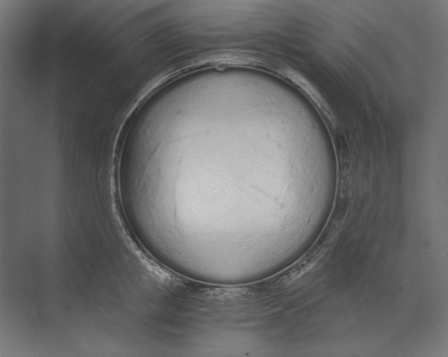 X0000073840853200609071539