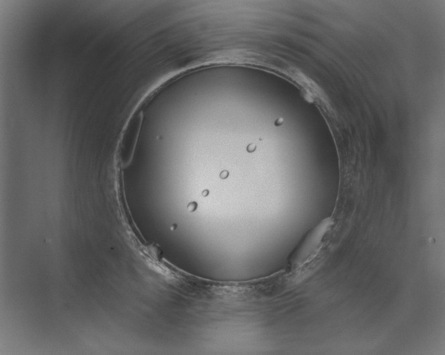 X0000073840854200609071539