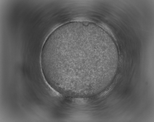 X0000073840855200609071539