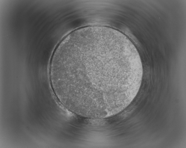 X0000073840856200609071539