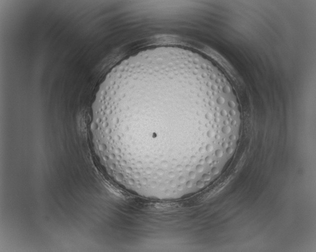 X0000073840857200609071539